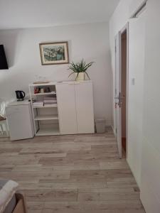 Kuchyň nebo kuchyňský kout v ubytování Guest House Tena