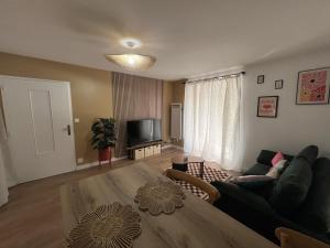 ein Wohnzimmer mit Sofa und Tisch in der Unterkunft Appartement chic & cosy au calme in Albi