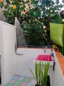 a bathroom with a pink sink and a plant at Ku terraza PARKING in Murcia +33 photos
