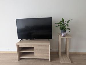 a flat screen tv on a wooden stand with a potted plant at Cozy garden facing room in Erdington +1 photo
