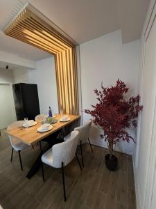 Fotografie z fotogalerie ubytování Apartments Duje v Novalji