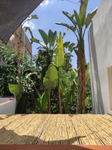 a table with a bunch of plants in a garden at Ku terraza PARKING in Murcia
