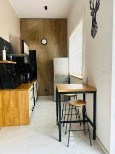 Kuchyň nebo kuchyňský kout v ubytování Apartament Ana Mrągowo Centrum