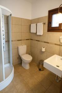 a bathroom with a toilet and a shower and a sink at Enosis apartments in Agia Anna , Apartment Argo in Agia Anna Naxos