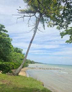 Gallery image of Rest in Paradise, Pool, Beach and Terrace in Sánchez +7 photos