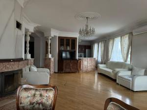 a living room with a couch and a fireplace at Terrace NANA in Tbilisi City