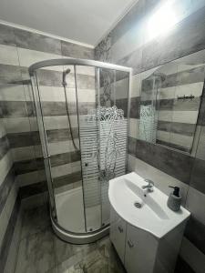 a bathroom with a shower and a sink at Casa Ovidiu in Pojorâta