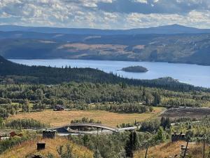 una vista di un lago e di un ponte in un campo di Bjødnabakkens fjellutsikt a Beitostøl
