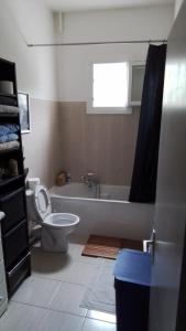 a bathroom with a tub and a toilet and a sink at Appart typique dans un chateau in Ajaccio