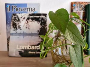 Fotografie z fotogalerie ubytování Balcony Lake View Apartment v destinaci Lierna