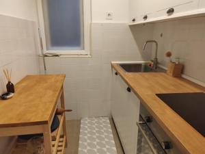 a small kitchen with a sink and a counter at Atelier Museum in Belgrade