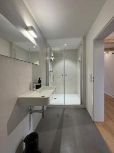 a bathroom with a sink and a shower at Des Alpes Sky Apartment in Beatenberg +10 photos