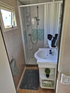 a small bathroom with a sink and a shower at Mobilní dům Krajánek in Výrovice +22 photos