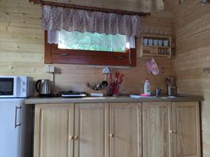 a kitchen with a counter and a microwave and a refrigerator at Chaty pod Knížecí in Trojanovice