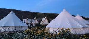 Fotografie z fotogalerie ubytování Nalati Jianxian B&B v destinaci Narat