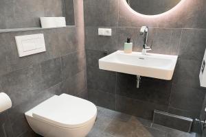 une salle de bain avec un lavabo et des toilettes dans l'établissement Ferienwohnung in der alten Scheune Wiesenblick für 3 Personen, à Ohne 11 autres photos