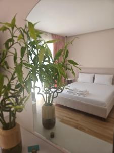 Кровать или кровати в номере Villa Tonia Livadh Himare