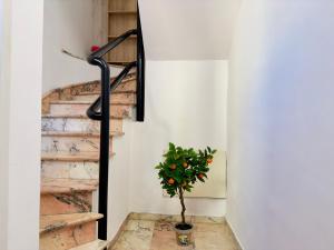 Fotografie z fotogalerie ubytování Unique room v destinaci Ragusa