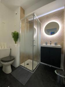 Un baño con ducha, inodoro y lavabo. en Les Quais centre-ville, en Rennes
