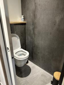 a bathroom with a white toilet in a stall at Studio Gisèle in Les Attaques +6 photos