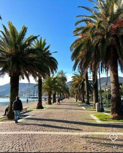 Φυσικό τοπίο κοντά σε αυτό το διαμέρισμα +10 φωτογραφίες