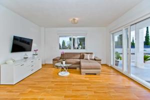 Una sala de estar con un sofá y un televisor. en Island Hvar Villa LeChalet with Pool, en Bogomolje