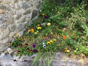 a garden filled with lots of different types of flowers at L Atelier in Seyssinet-Pariset