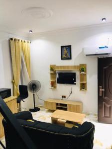 イバダンにあるAM Apartmentsのソファとテレビのあるリビングルーム