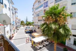 palma na balkonie budynku w obiekcie Apartmento Caribe Centro Casasol w mieście Nerja