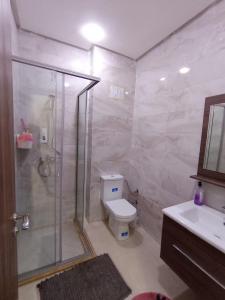 a bathroom with a shower and a toilet and a sink at Charming appartement in Bouznika in Bouznika