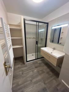 a bathroom with a sink and a glass shower at 4 People Cannes Hyper Centre and Air conditioning in Cannes