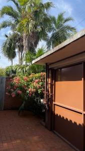 Zahrada ubytování Casa Tropicale House accommodates family and work