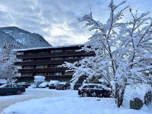 a snow covered tree in front of a building at Charming apartment Berggeweih Lodge at Zwölferkogel in Hinterglemm in Größing