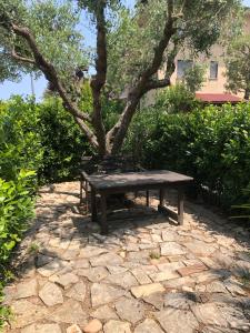 Zahrada ubytování Il Villino del Sole