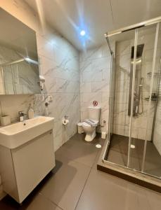 a bathroom with a shower and a sink and a toilet at Athenian Retreat Penthouses in Athens