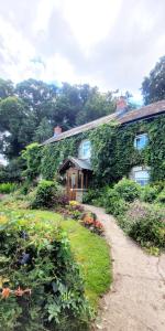 a house covered in ivy next to a garden at Kingsley Cottage in Beaworthy