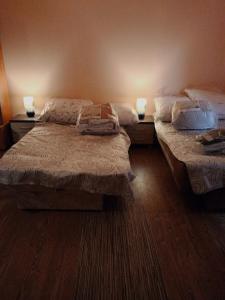 two beds in a room with two lamps on them at Agroturystyka pod skałką u Marzeny 