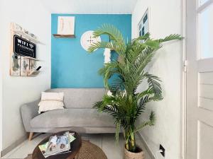 a living room with a couch and a palm tree at La Pierre des Ducs in Matoury