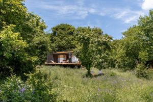 a house in the middle of a field with trees at Tiny Heart Kabin in Nagymaros