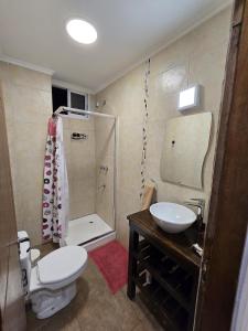 a bathroom with a toilet and a sink and a shower at Aura Iguazú Apartment in Puerto Iguazú +25 photos