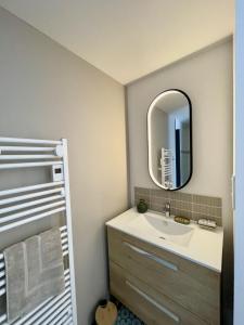 a bathroom with a sink and a mirror at Le petit traîne-feuilles in Saint-Aignan