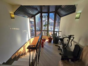 Γυμναστήριο ή/και όργανα γυμναστικής στο Pensiunea Public House +36 φωτογραφίες