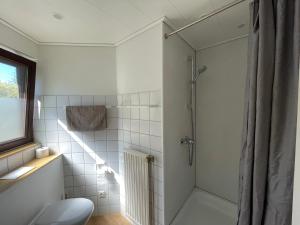a bathroom with a shower and a toilet at Fichtenhain - Lastering Ferienhäuser & Apartments in Wettringen +6 photos