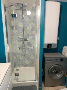 a shower in a bathroom with a washing machine at Studio Argelès sur Mer in Argelès-sur-Mer +2 photos