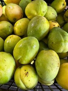 a pile of green and yellow fruit on a rack at Cabaña sostenible Isla Fuerte in Isla Fuerte