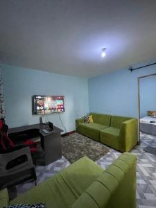 a living room with green furniture and a flat screen tv at MSF BACHELOR PAd in Arusha
