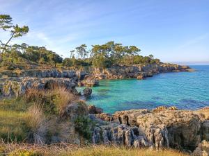 a rocky shore with trees and the ocean at La Casa de Tito y Cosi in Noja