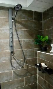a shower with a shower head in a bathroom at SkiathitissasMaison in Skiathos +9 photos