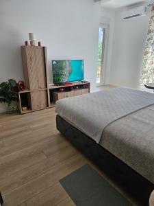 TV a/nebo společenská místnost v ubytování Miss Lux