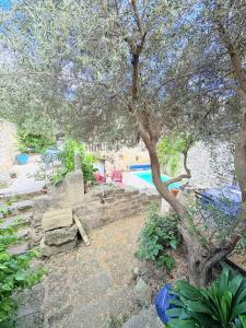 einen Hof mit einem Baum und einem Pool in der Unterkunft Les jardins de Montbazin in Montbazin